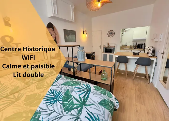 L\'Albizia- Centre -Tv Wifi-Cozy