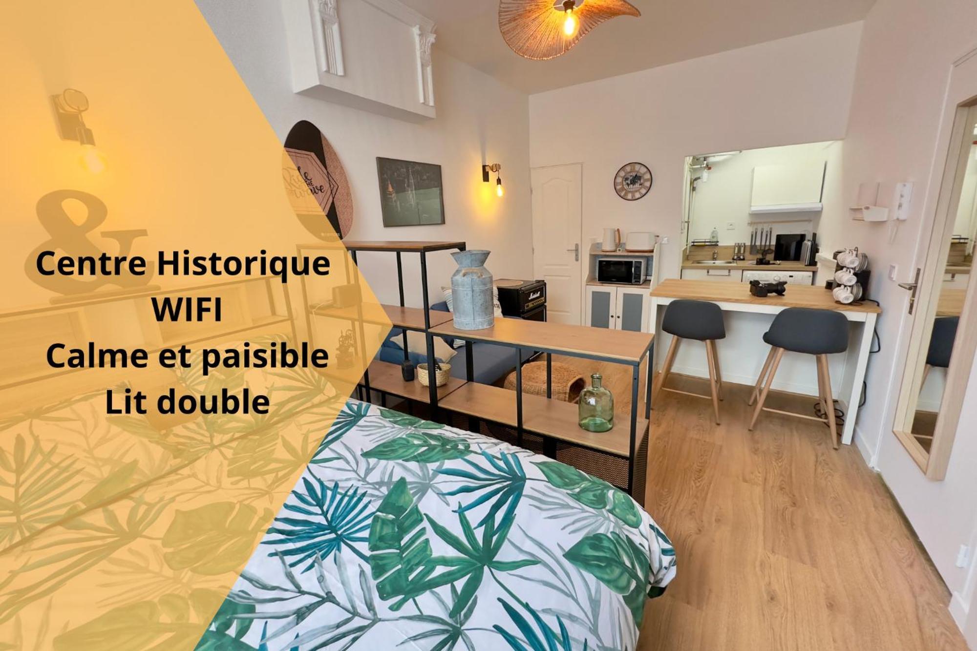 L'albizia- Centre -tv Wifi-cozy Apartment